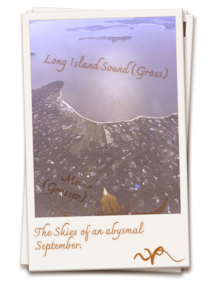 Vir Polaroid 7.png