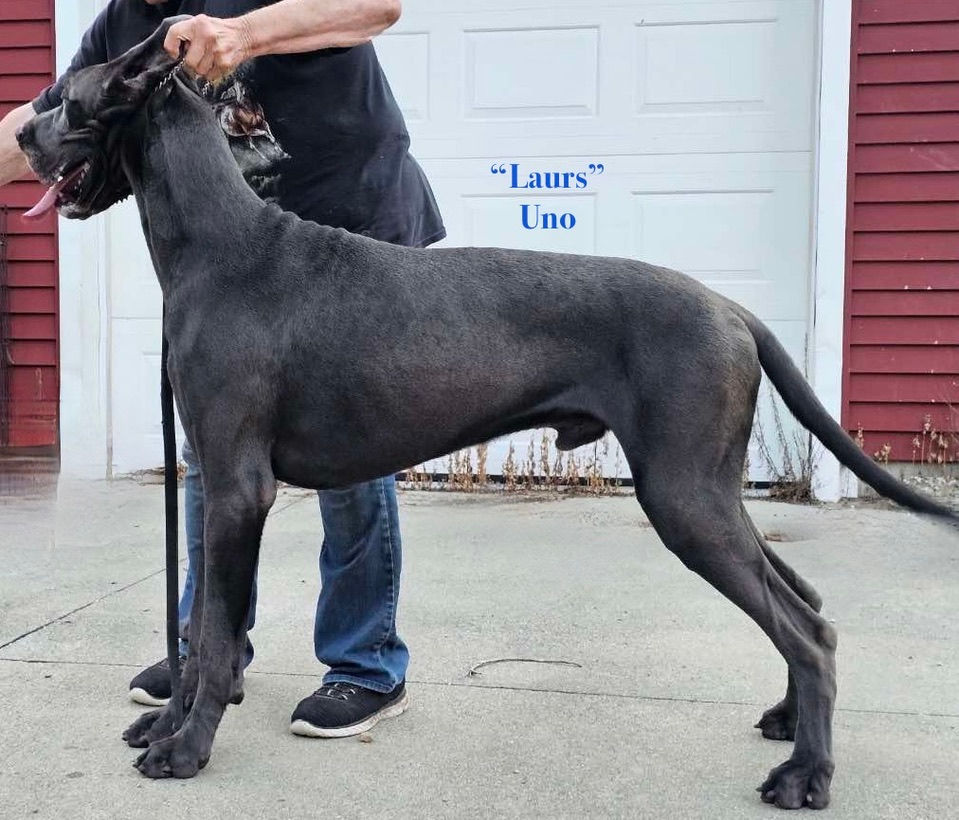 09701903-2443-403B-9EBF-7D7EF8EAD4F5_1_105_c