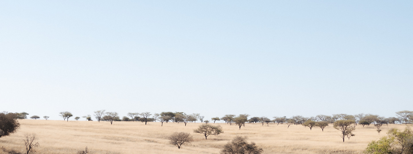 Buffalo Bond Private Game Reserve View