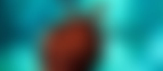 Following a turtle in the Andaman waters