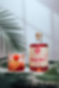 avigphoto -89.jpg