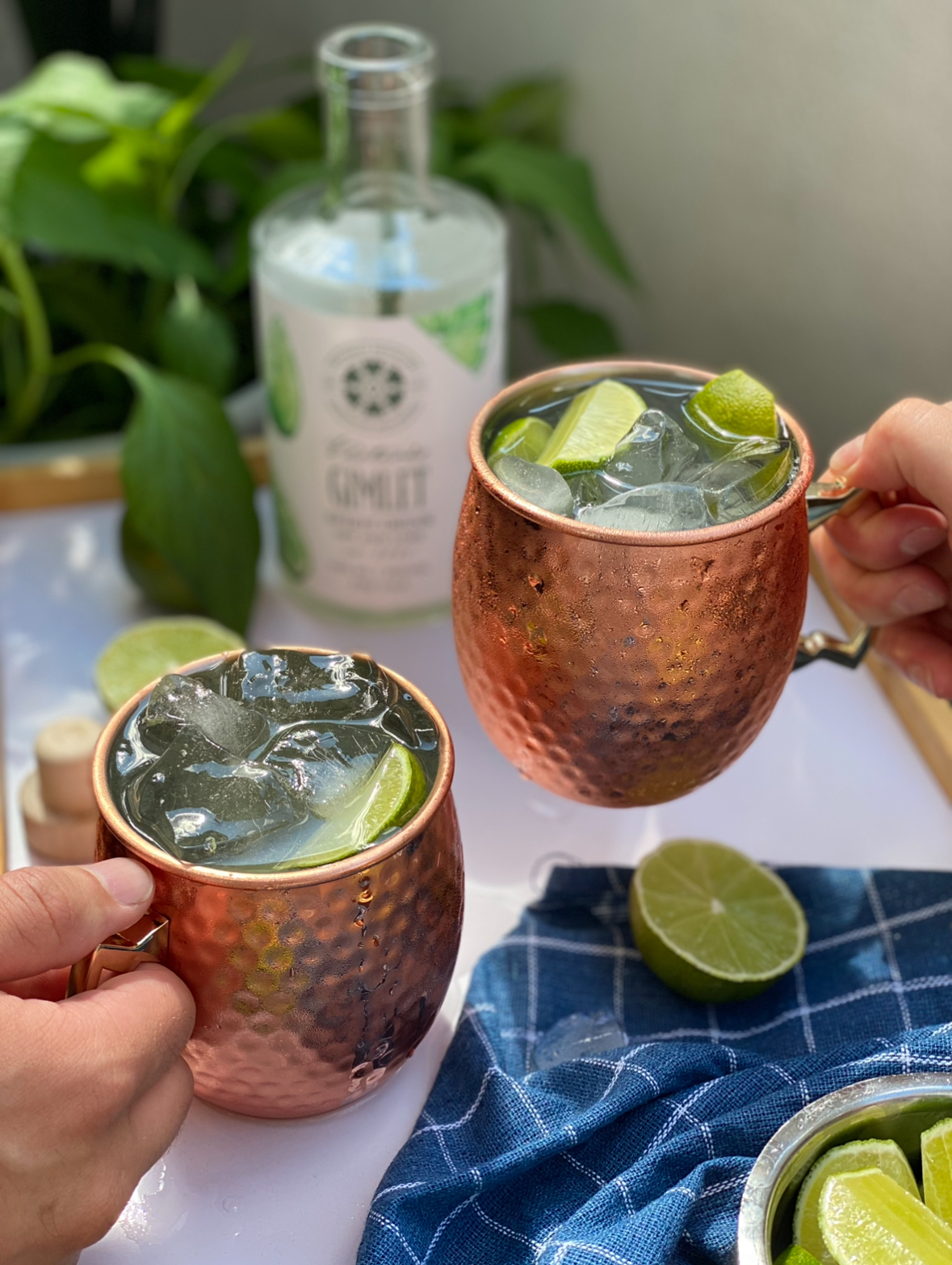 Gimlet Mule