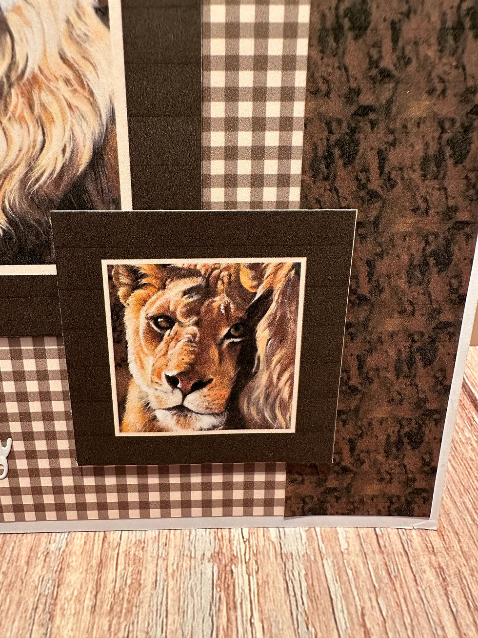 Thumbnail: Wild  Birthday Wishes