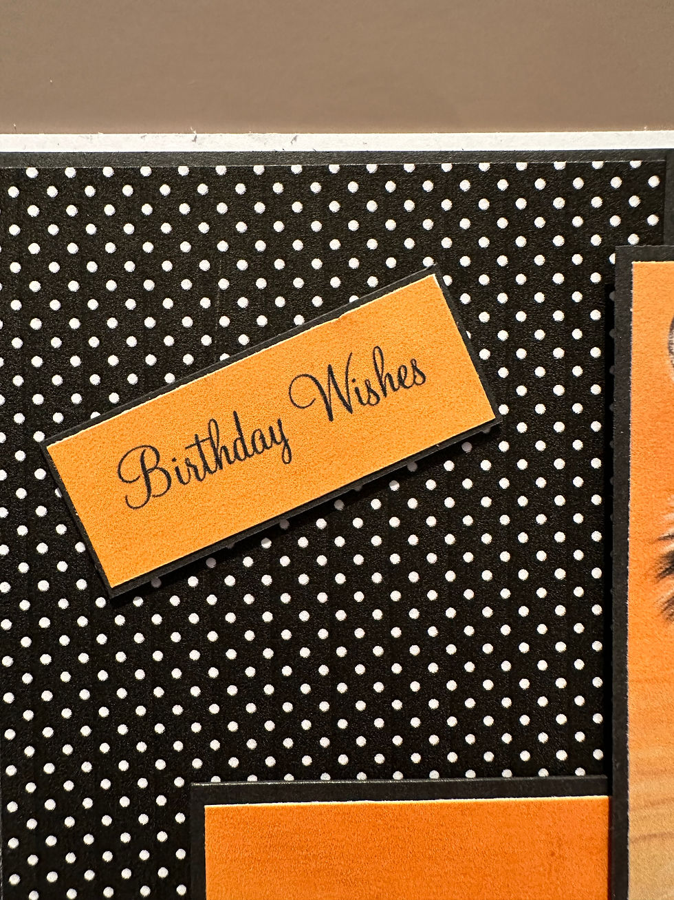 Thumbnail: Bold & Beautiful