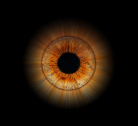 Iris oeil humain effet