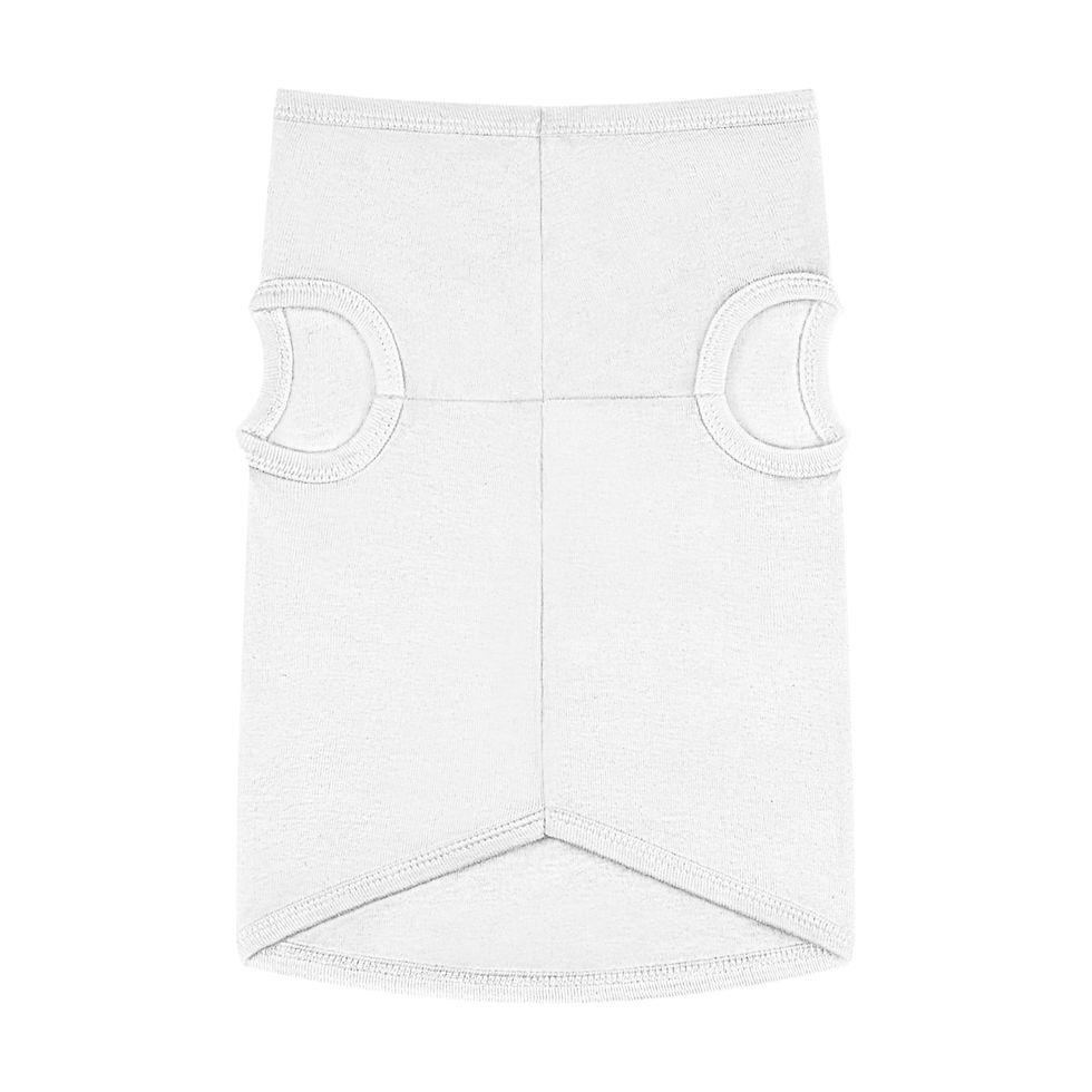 Miniatura: DIECI a quattro zampe! Vestito per cani