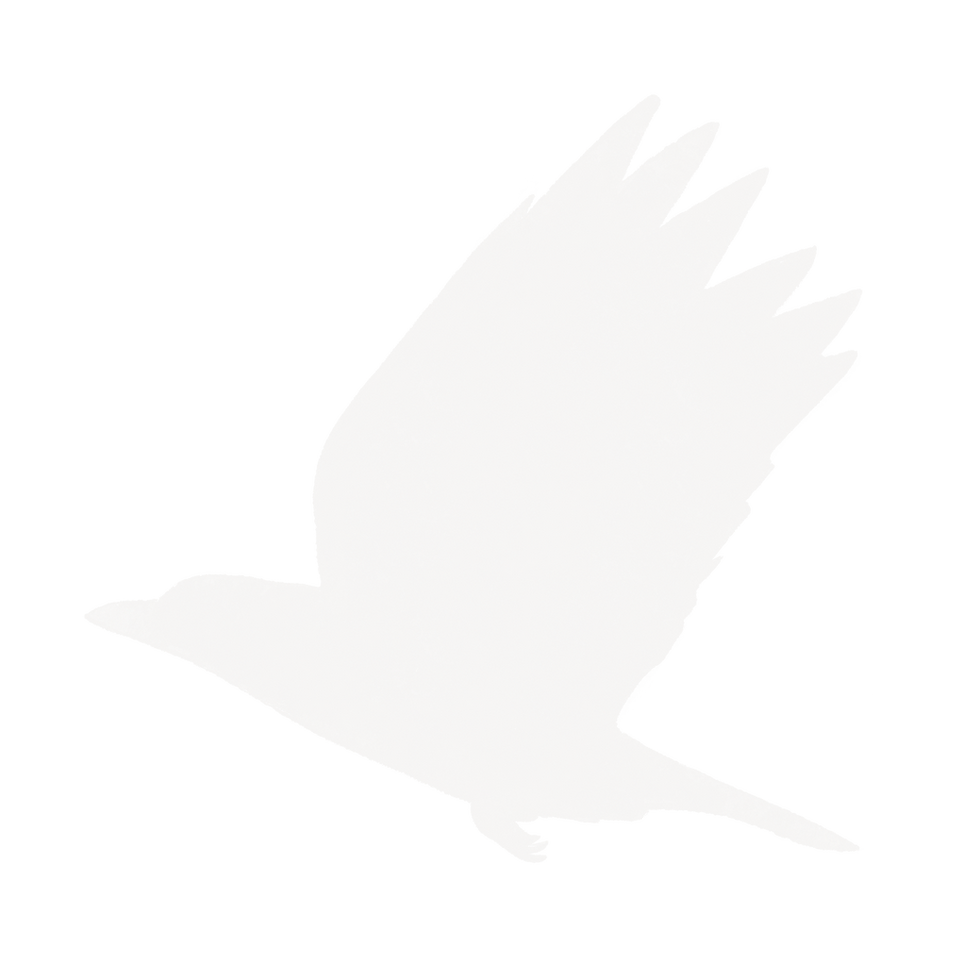 crow graphic 3