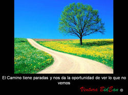 Paradas en el Camino