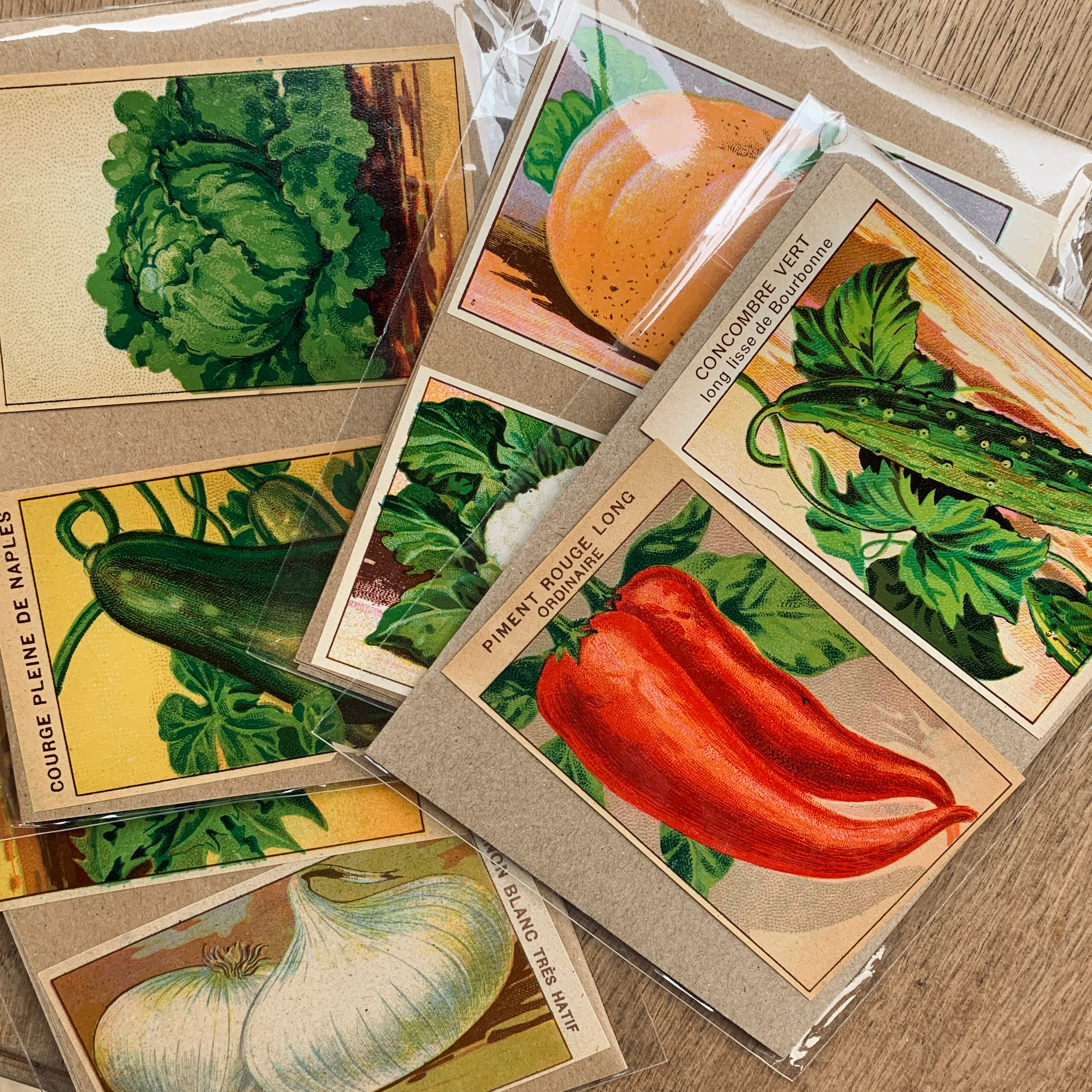 1920s French Seed Packet Lables