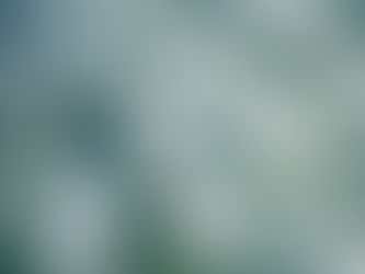 Key Steps to Take After an Ice-Related Car Accident in NY