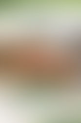 Coloquio del Centro diocesano de Orientación Familiar del Aljarafe, 28 de abril