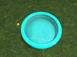 wading pool (8)