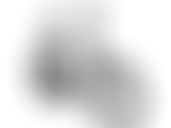 3G Bikes: Comfort and Style!