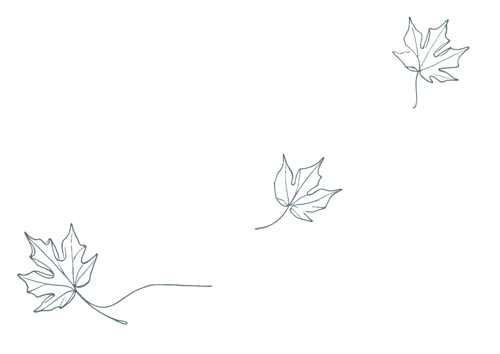AFD leaf motif in Studio teal line transparent background.png