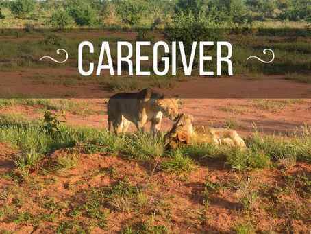 CAREGIVER - P.S.I. Parole di Senso Incompiuto