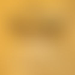 Prog' live J'Web Tv #31 (31/12/24)