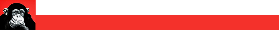 fonds titres.png