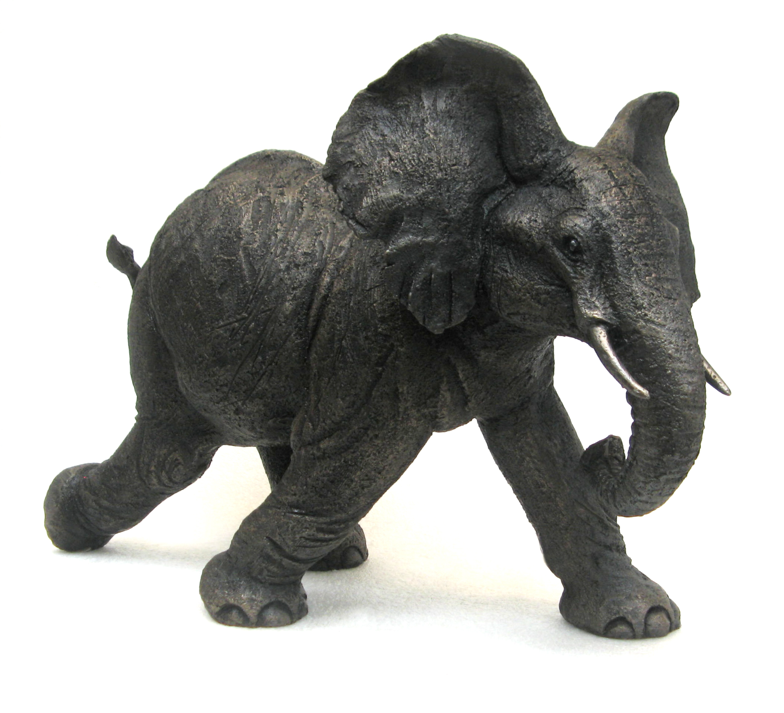 Elephant Calf