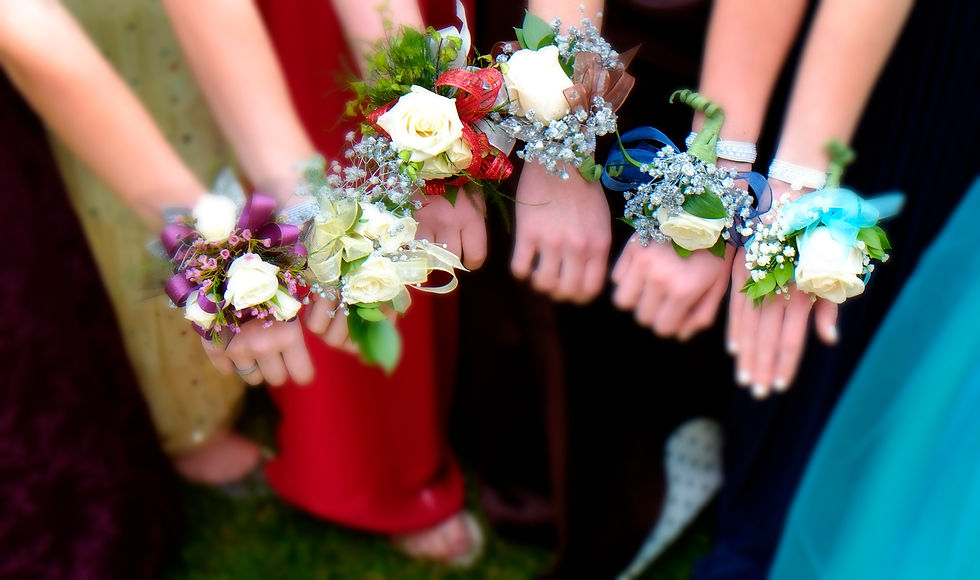Photographie de finissantes