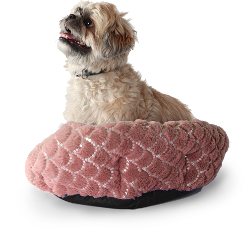 Karina Kares Sitter Services