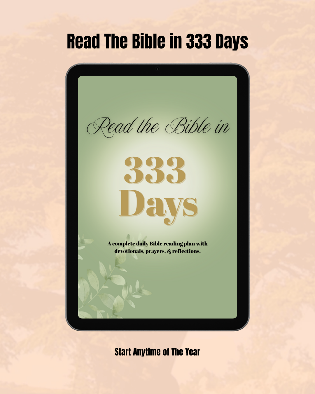 Read The Bible in 333 Days A Complete Bible Reading Plan
