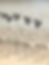 969327C1-8E87-4BF3-A9C8-E6495FF02AA5_1_201_a.heic