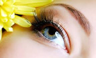Salon Kismet
