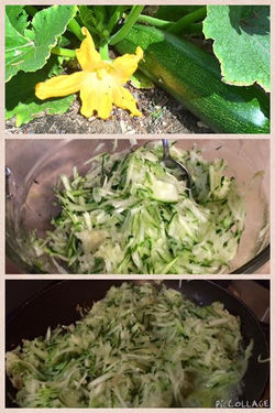 NumNums in 3 easy steps 💚_1. Find a zucchini _2. Shred it_3