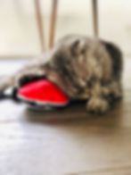 Thumbnail: Natural Cat Toy Kicker - Popstar David
