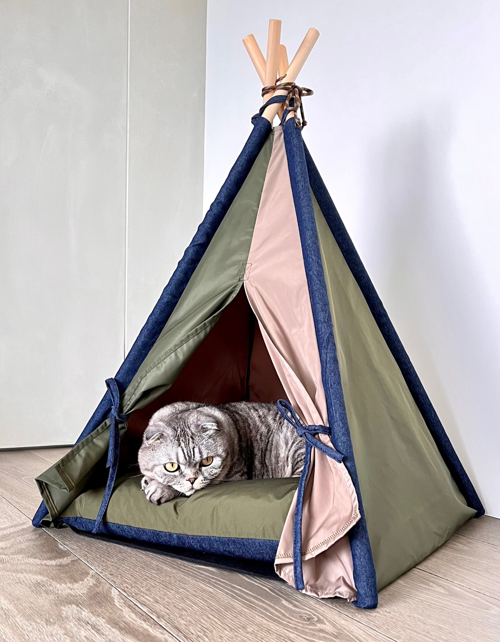 貓咪露營帳篷