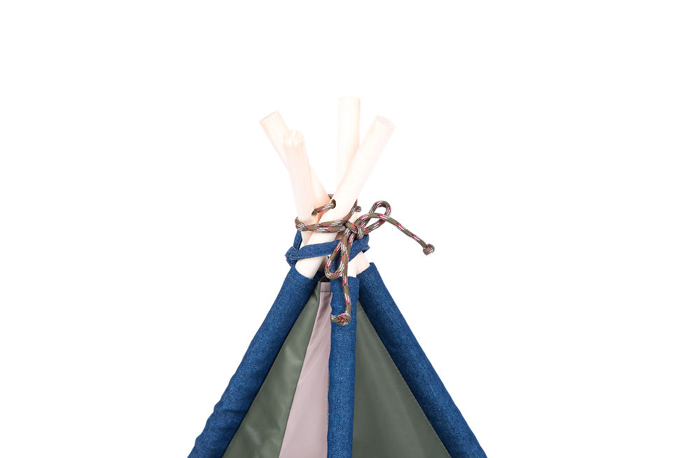 Thumbnail: Camping Tent