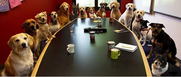 Monthly BCHA Board Meeting