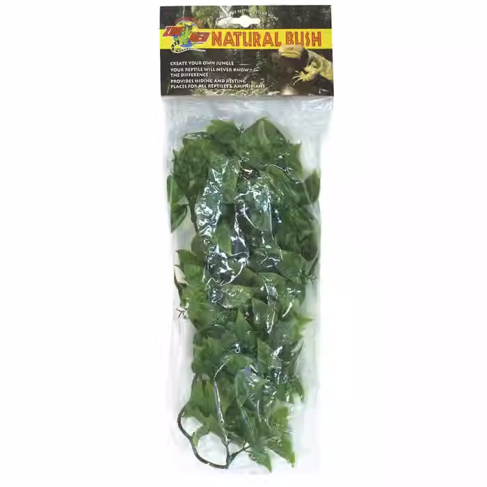 Zoo Med Mexican Phyllo