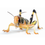 Thumbnail: Locusts