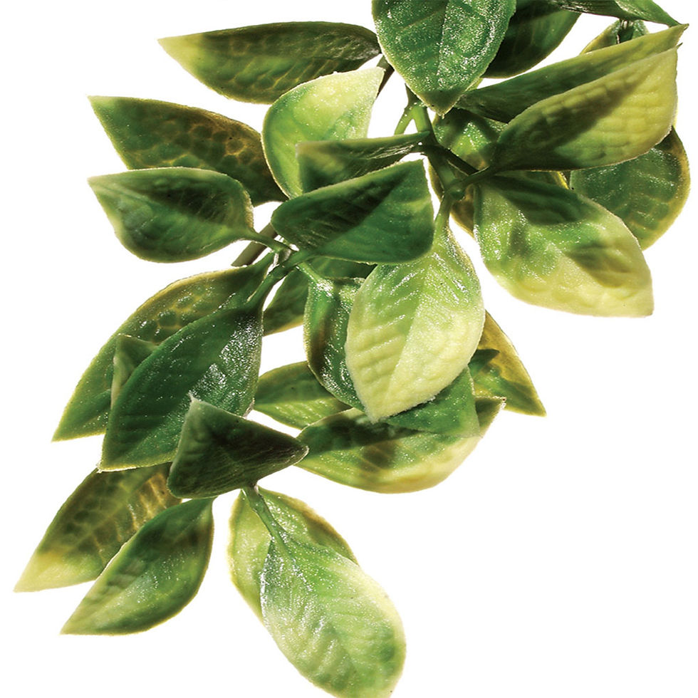 Exo Terra Mandarin Plastic Plant