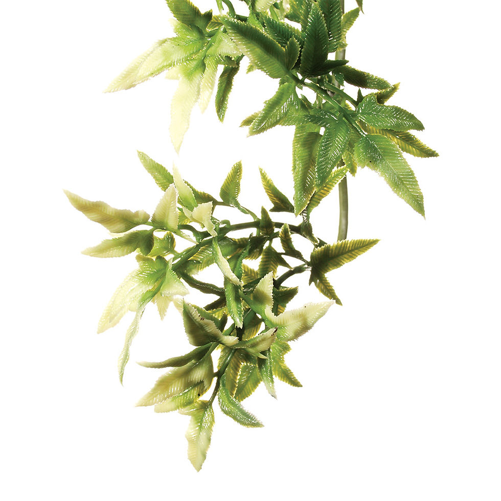 Exo Terra Croton Plastic Plant