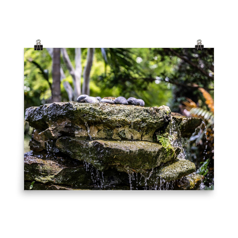 Thumbnail: Tranquility