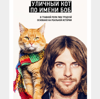 КиноКарины. Уличный кот по имени Боб.