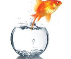 Courageous Leadership Matters