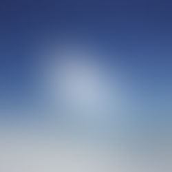 Raising the Wellness Flag in 2022