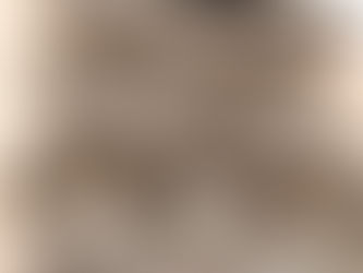 Hôtel Résidence LE JASMIN