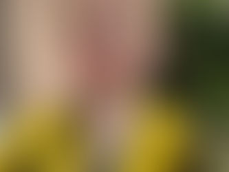 Match Report NMJFC U8 - 17/02/24