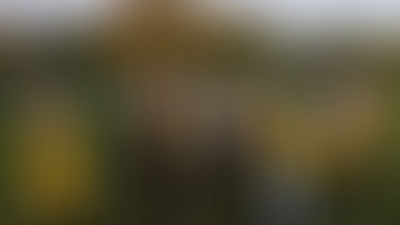 Match Report NMJFC U7s - 09/11/25