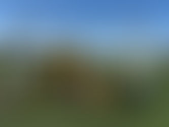 Match Report NMJFC U9s vs Stockport County Ladies U9s – 16/03/2024