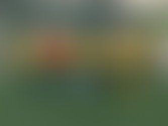 Match Report NMJFC U11s HPL - 28/01/24