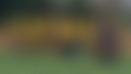 Match report New Mills U11 Scorpions vs Whaley Bridge U11 Reds - 01/02/26