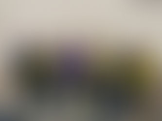 Match Report NMJFC U8s - 02/03/24