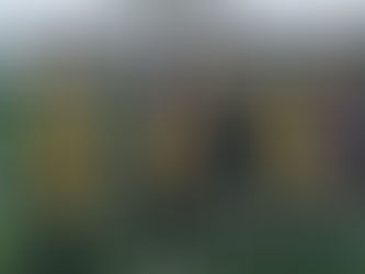 Match Report NMJFC U11 Girls vs Altrincham FC Juniors U11 Girls Starling 11/04/2026