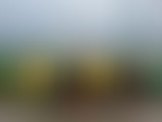 Match Report NMJFC U10 7th February 2026