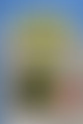 A Ridiculous Question?